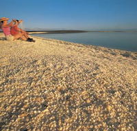 Shell Beach - Accommodation Perth
