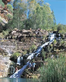 Fortescue Falls - Accommodation Perth 0