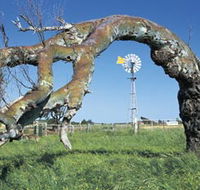 Greenough Leaning Trees - Accommodation Perth