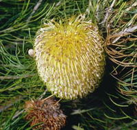 FR Berry Reserve - Accommodation Perth