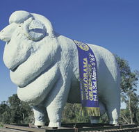 Giant Ram Tourist Park - Accommodation Perth