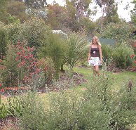 The Mythic Mazes - Accommodation Perth