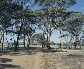Dumbleyung WA Accommodation Perth
