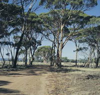 Lake Dumbleyung - Accommodation Perth