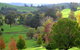 Golden Valley Tree Park - thumb 0