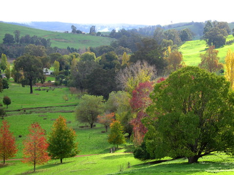 Golden Valley Tree Park - Accommodation Perth 0
