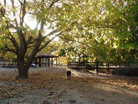 Golden Valley Tree Park - Accommodation Perth 1