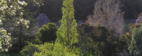 Golden Valley Tree Park - Accommodation Perth 3