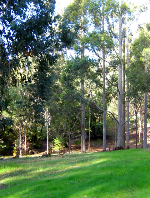 Golden Valley Tree Park - Accommodation Perth 6