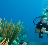 Coastal Water Dive - Accommodation Perth