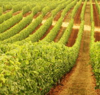 Cullen Wines - Accommodation Perth