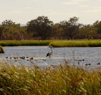 Anytime Adventures in Mandurah  the Peel Region - Accommodation Perth