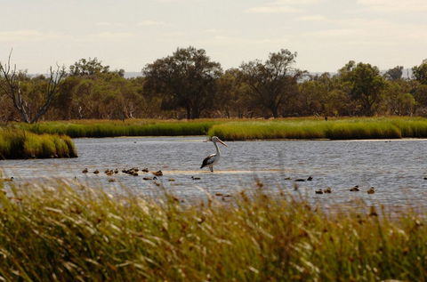 Anytime Adventures In Mandurah & The Peel Region - Accommodation Perth 0