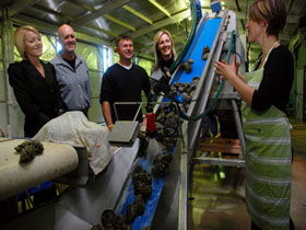 Eyre Peninsula's Seafood Trail - Accommodation Perth 0