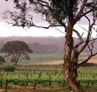 Yangarra Estate Vineyard - Accommodation Perth