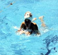 Mount Gambier Aquatic Centre - Accommodation Perth