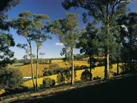 Lobethal Archives And Historical Museum - Accommodation Perth 0
