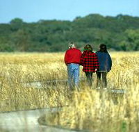 Onkaparinga River Recreation Park - Accommodation Perth