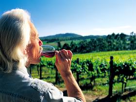 Ashton Hills Vineyard - Perth Resorts 0