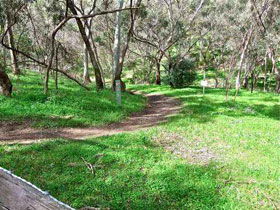 Yurrebilla Trail - Accommodation Perth 0
