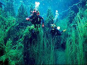 Ewens Ponds Conservation Park - Perth Resorts 0