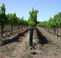 Temple Bruer Winery - Accommodation Perth