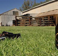Wilkadene Woolshed Brewery - Accommodation Perth