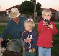 Orrie Cowie Merino and Poll Merino Stud - Perth Resorts