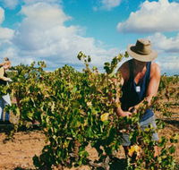 Torbreck Vintners - Accommodation Perth