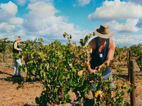 Torbreck Vintners - Accommodation Perth 0