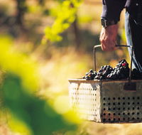 Burge Family Winemakers - Accommodation Perth