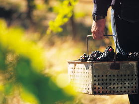 Burge Family Winemakers - Accommodation Perth 0
