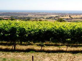 Braydun Hill Vineyard - Accommodation Perth 0