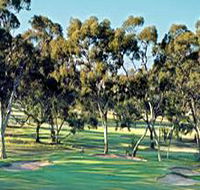 Tanunda Pines Golf Club - Accommodation Perth