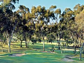 Tanunda Pines Golf Club - Accommodation Perth 0