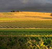 Kellermeister Wines - Accommodation Perth