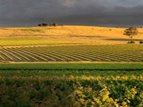 Kellermeister Wines - Accommodation Perth 0