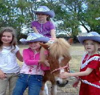 Amberainbow Pony Rides - Accommodation Perth
