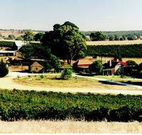 Irvine Wines - Accommodation Perth