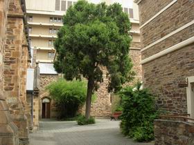Flinders Street Baptist Church - Accommodation Perth 0