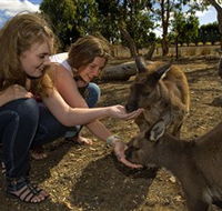Kangaroo Island Wildlife Park - Accommodation Perth