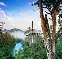 Tahune Adventures Tasmania - Accommodation Perth