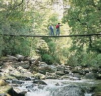 Arve Forest Drive - Accommodation Perth