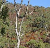 Black Hill Conservation Park - Perth Resorts