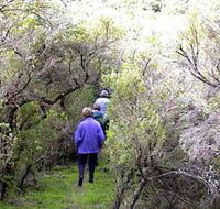 Jack And Hilda McArthur Walk - Accommodation Perth
