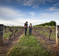 Coonawarra Wineries Walking Trail - Accommodation Perth