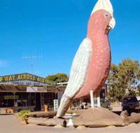 The Big Galah - Accommodation Perth