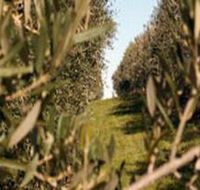 Evilo Estate - Accommodation Perth