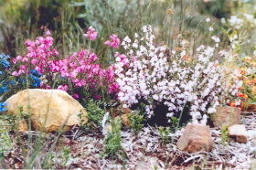 Stokes Bay Bush Garden - Perth Resorts 0