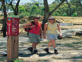 Riesling Trail - Accommodation Perth 0